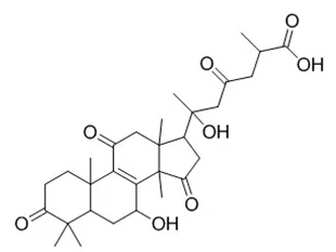 5e23cc68a2d79.jpg 13.jpg